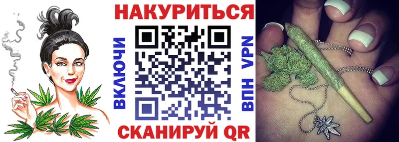 Купить закладки  Шлиссельбург  Шишки марихуана гибрид 